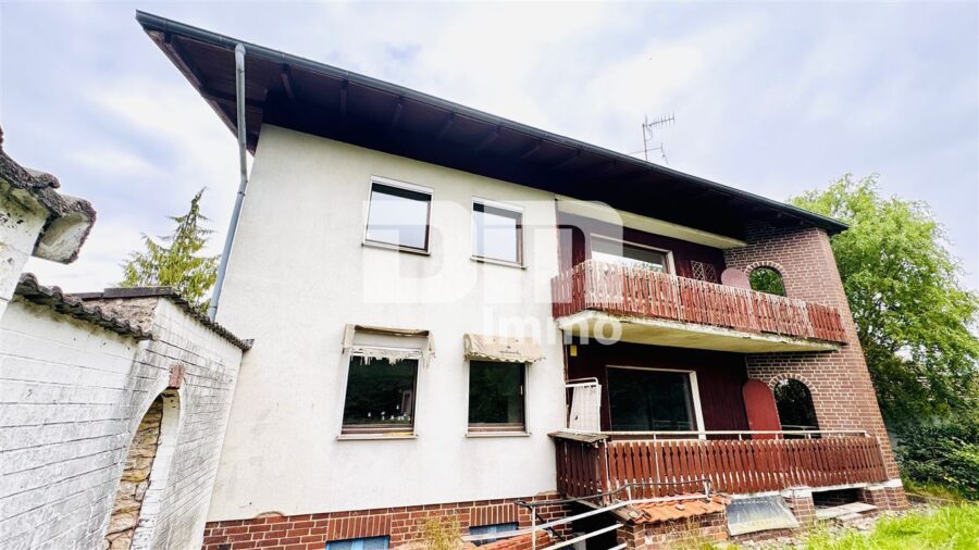 Geräumiges 1 bis 2 Familienhaus mit gigantischem Grundstück und Doppelgarage - Rückansicht